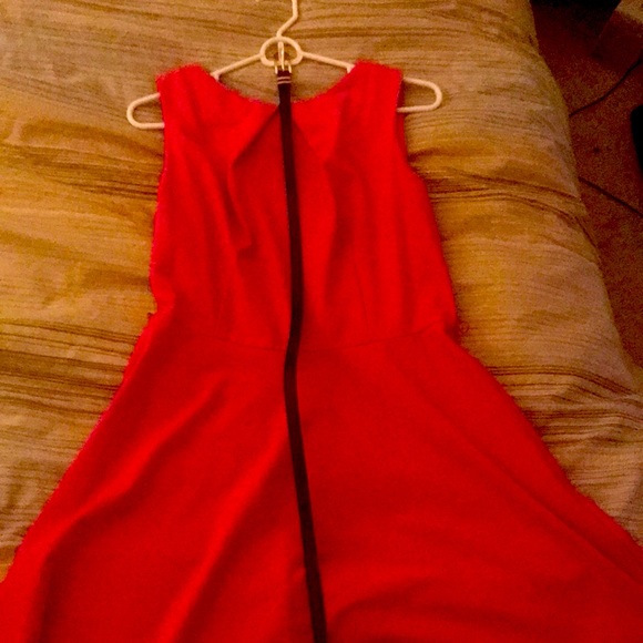NWOT Flirty Fit & Flare Dress - Picture 1 of 3